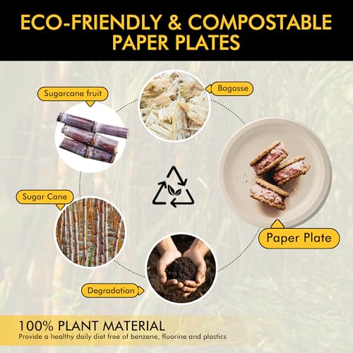 Compostable Paper Plates 10 Inch [150 Pack] - Product Imagery