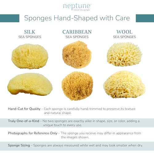 Neptune Caribbean Sea Sponge, Large, Approx. 6-7 in, Exfoliating - Product Imagery