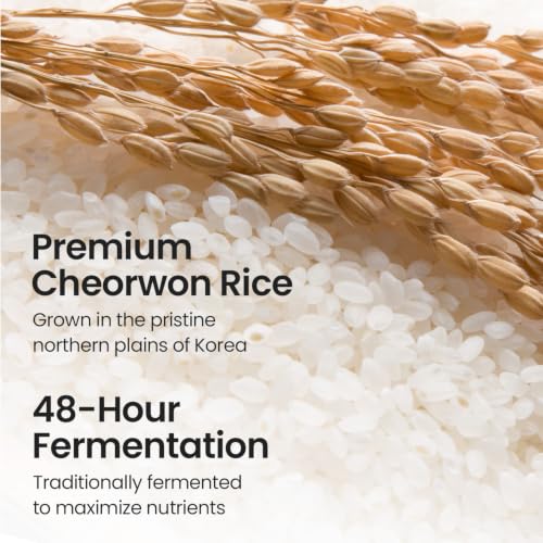 SKINFOOD Rice Mask Wash Off 3.5oz / Gently Exfoliates the - Product Imagery
