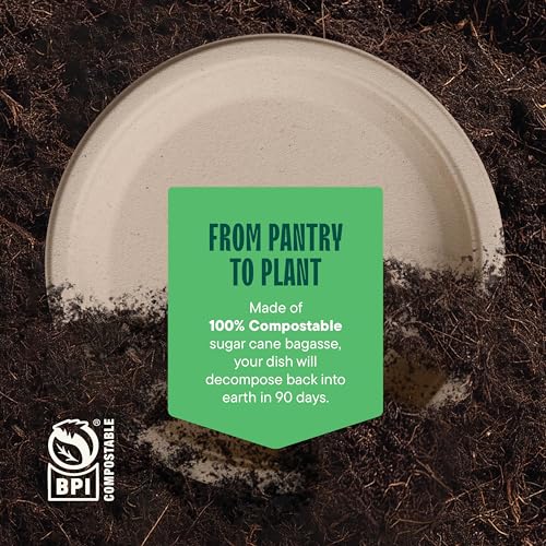 100% Compostable Paper Plates, Heavy Duty Disposable Plates - Product Imagery