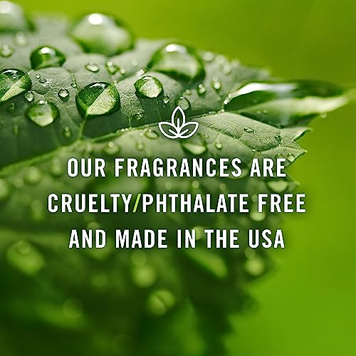 P&J Fragrance Oil - Raspberry Oil 30ml - Candle Scents, Soap - Product Imagery