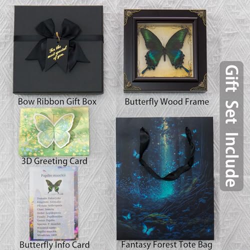 Handmade Real Butterfly Framed with 5 Pieces Gift Set - Gothic - Product Imagery