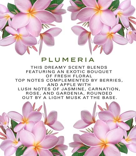 Botanical Beauty PLUMERIA WHIPPED BODY BUTTER with Shea Butter, - Product Imagery