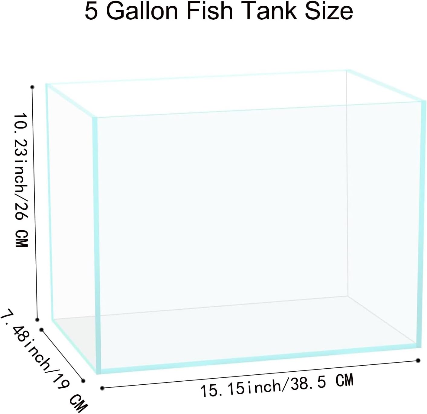 Vimvins 5-gallon glass fish tank with aquatic plants, suitable for bettas, goldfish, snails, and shrimp, compact and easy to maintain