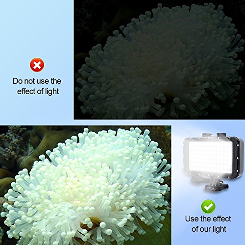 Suptig underwater dive light with 84 high-power LED bulbs, dimmable for underwater exploration and night diving.