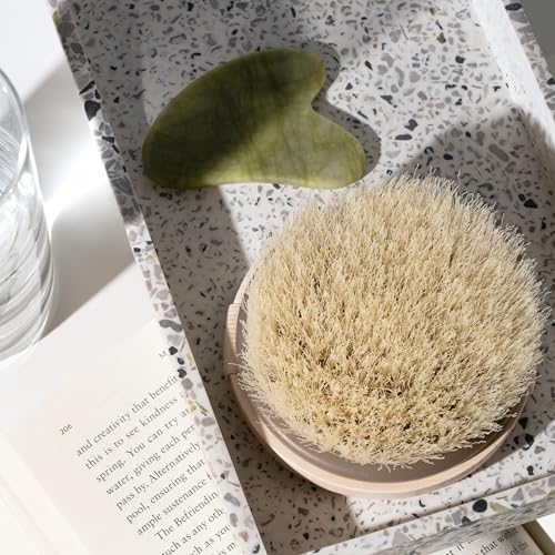 EcoTools Dry Body Brush for Dry Brushing, Smooth Skin, 1 Count - Product Imagery