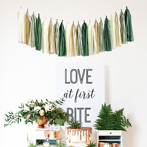ANSOMO Sage Green Happy Birthday Party Decorations Retro Green - Product Imagery