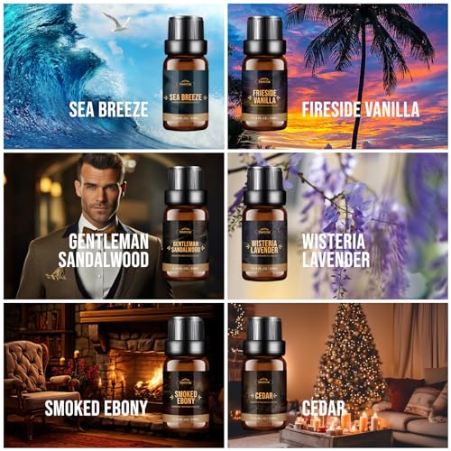 FUHITIM Fragrance Oil Charming Men's Set Diffuser Oil for Home（6 - Product Imagery