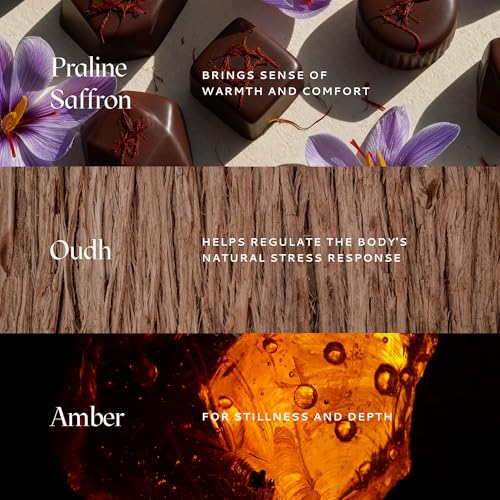 Caftari Luxury Perfume Oil Rollerball Discovery Set | Long - Product Imagery