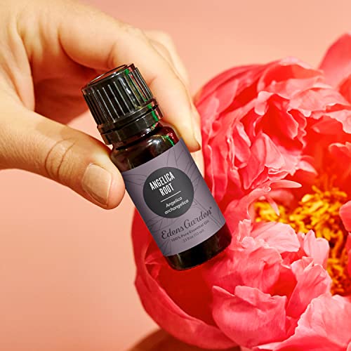 Edens Garden Angelica Root Essential Oil- 100% Pure 10 ml (.33 - Product Imagery