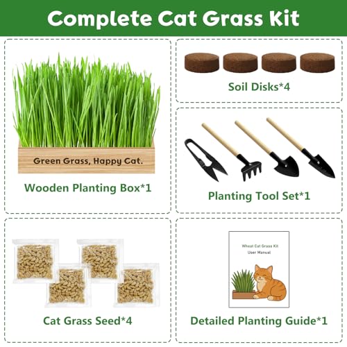 Cat Grass Kit for Indoor Cats, Non-GMO Wheat Cat Grass Seeds - Product Imagery