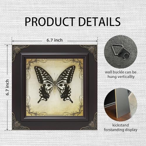 Handmade Real Butterfly Framed with 5 Pieces Gift Set - Gothic - Product Imagery