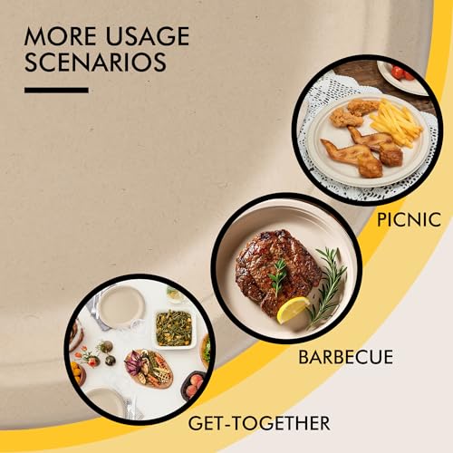 Compostable Paper Plates 10 Inch [150 Pack] - Product Imagery