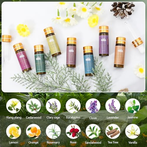 Fragrance Essential Oils Set - 14pcs, Aromatherapy Oils for - Product Imagery