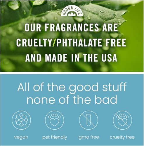 HoogaLife Car Air Freshener Diffuser 2 Pack Hanging Air - Product Imagery