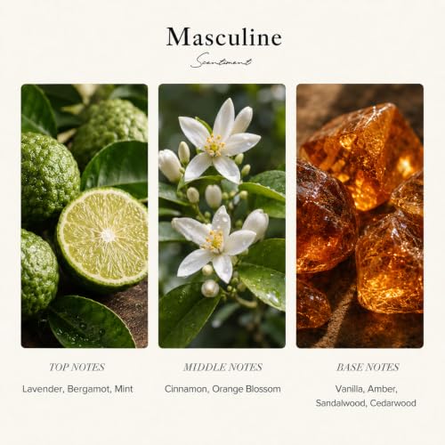 Scentiment Masculine Diffuser Oil - Hotel Fragrance Oil Refill - - Product Imagery
