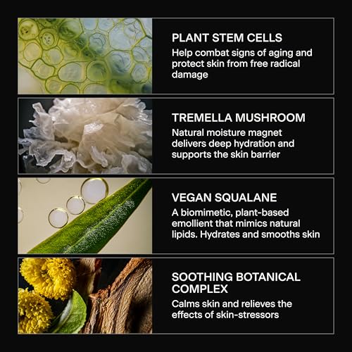 Caldera + Lab The Base Layer | Men's Facial Cream Moisturizer, - Product Imagery