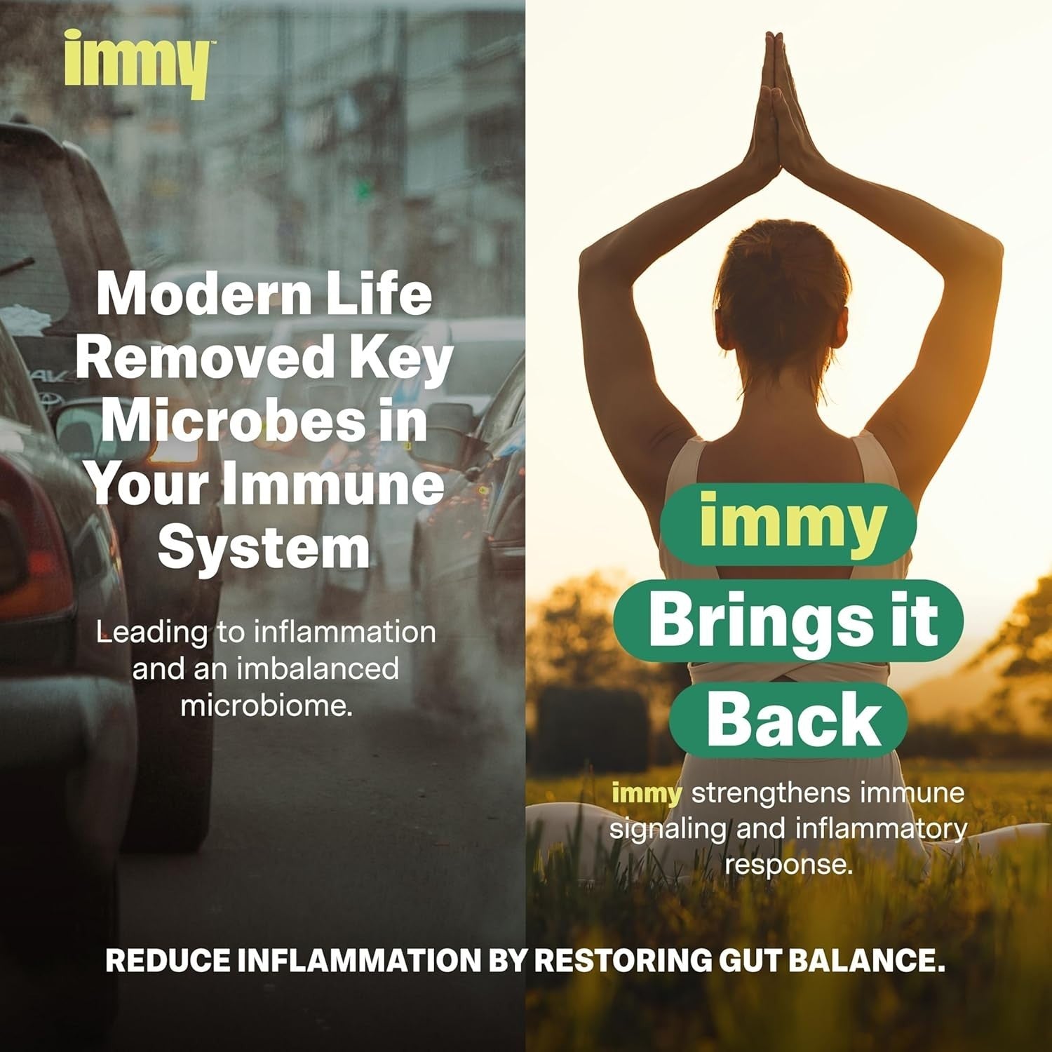 IMMY Doctor-Developed Inflammation Support capsules, 90 count, featuring natural ingredients to promote healthy inflammation response.