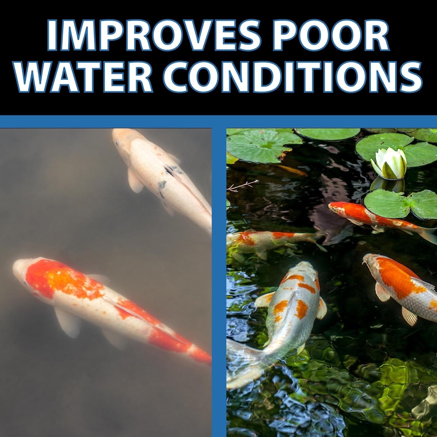 CrystalClear Barley Extract pond treatment bottle, natural water clarifier for fountains and ponds, with clear liquid inside.