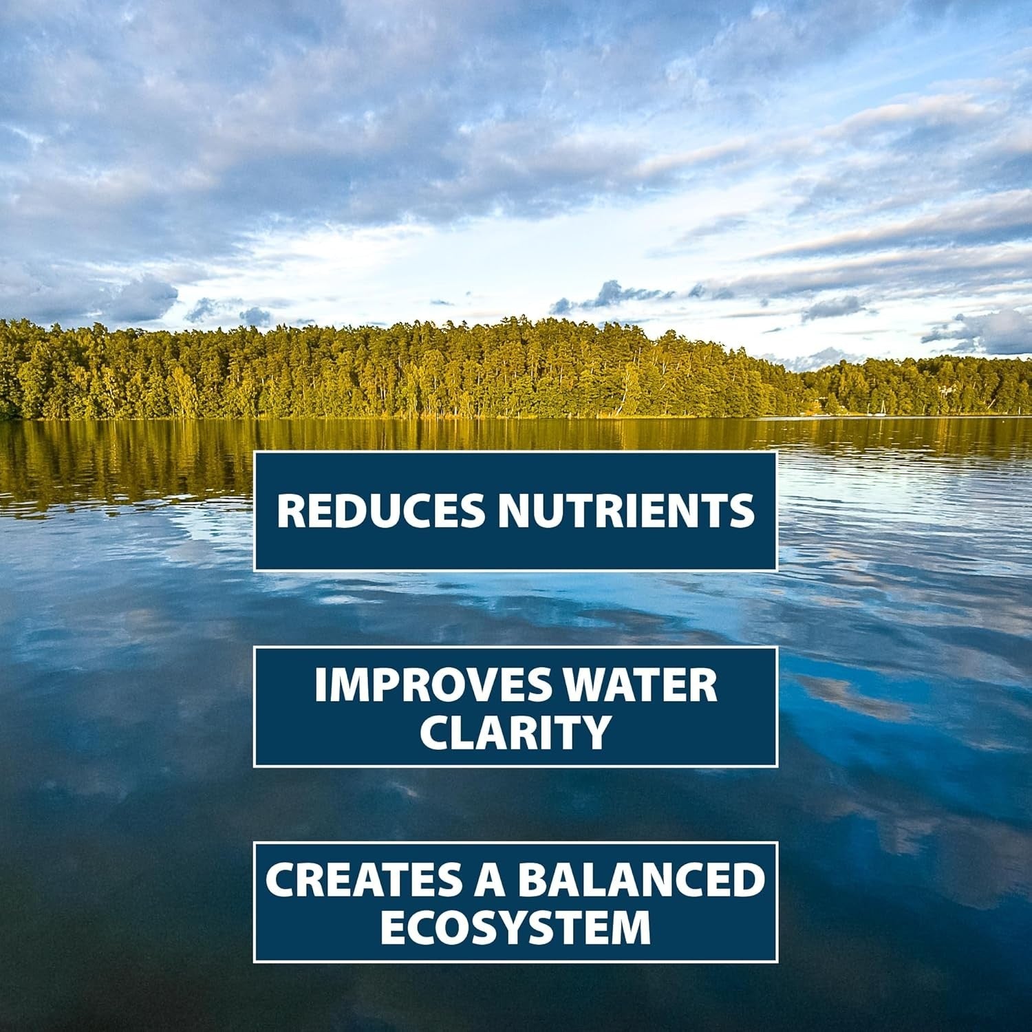 Airmax PondClear beneficial bacteria and enzyme packets, 24-count, for pond water clarification and algae control.