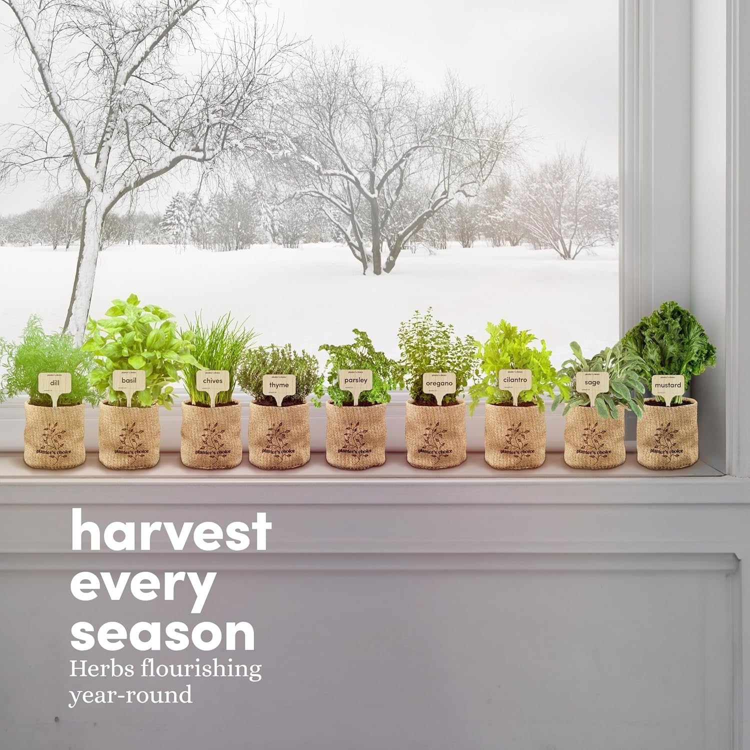 Planters' Choice 9 Herb Indoor Window Garden Kit with seed pots and tools for growing herbs indoors.
