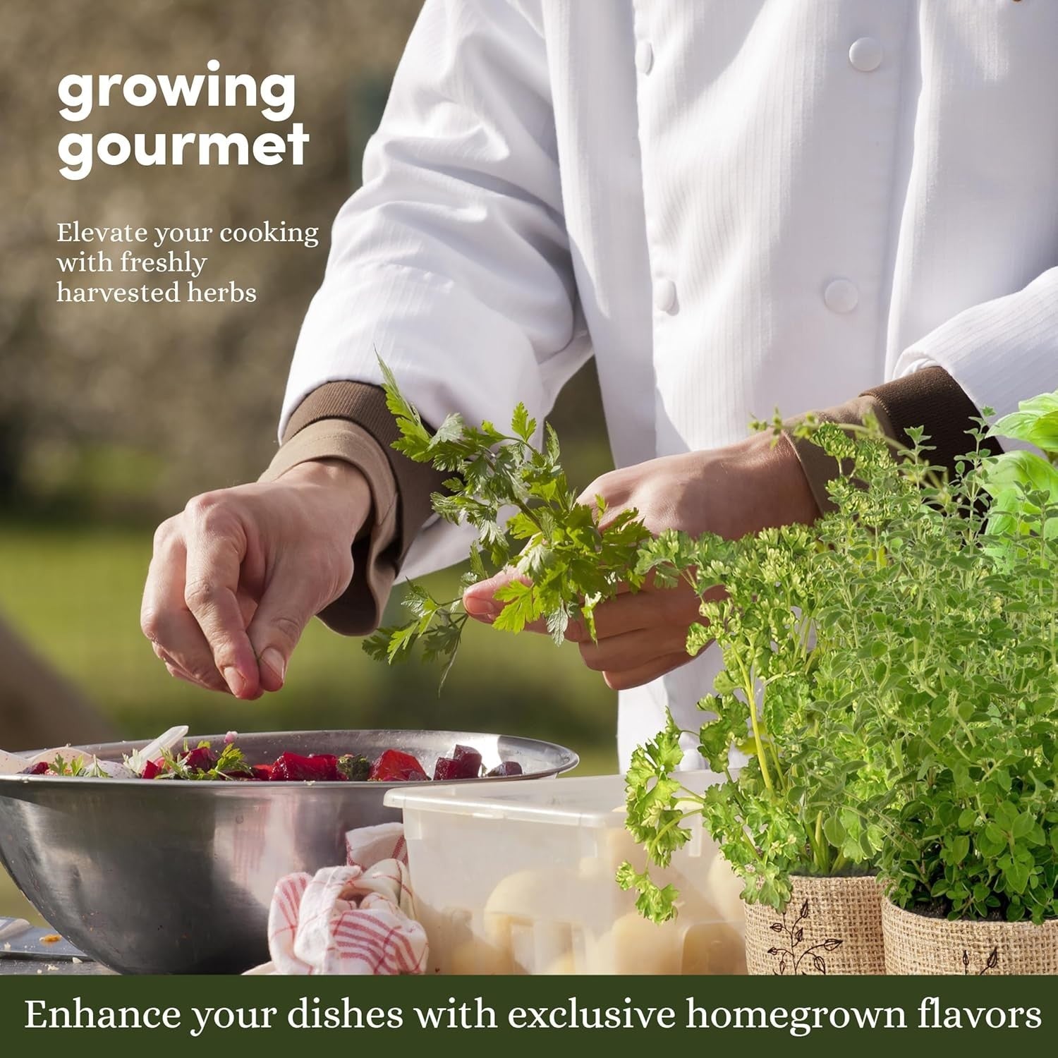 Planters' Choice 9 Herb Indoor Window Garden Kit with various fresh herbs in small pots on a windowsill.