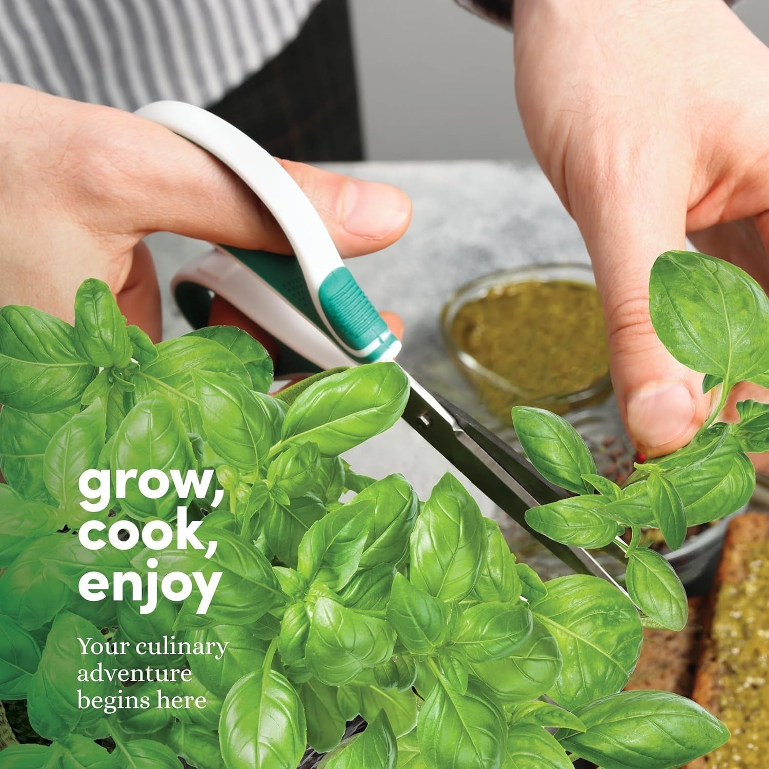 Planters' Choice 9 Herb Indoor Window Garden Kit with house planters, ideal for fresh herbs and indoor gardening.