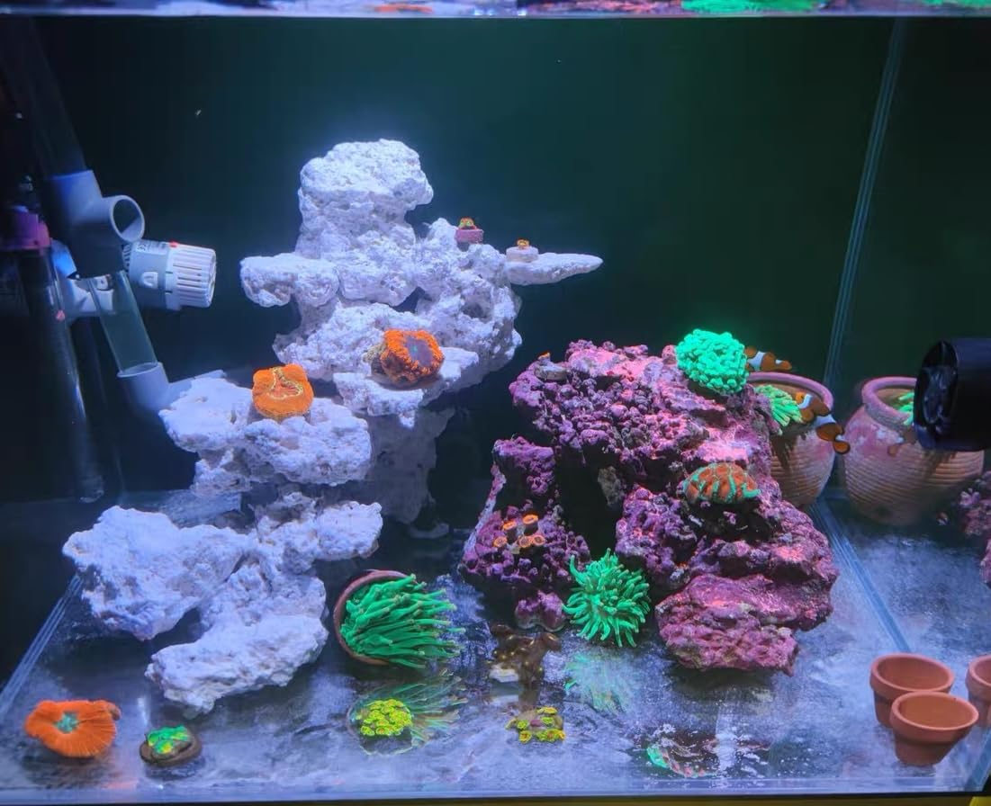 YZHZOM Dry Base Rock for Aquarium White Coral Ornament Sea - YZHZOM Official Imagery - 3