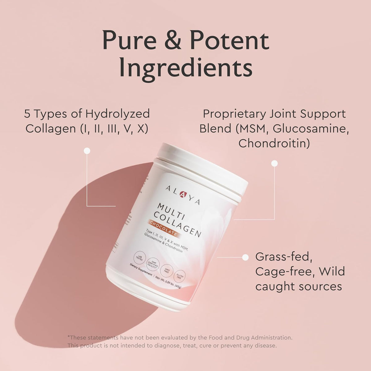 Alaya Multi Collagen Powder 5 Types MSM 35 Servings - Alaya Naturals Official Imagery - 5