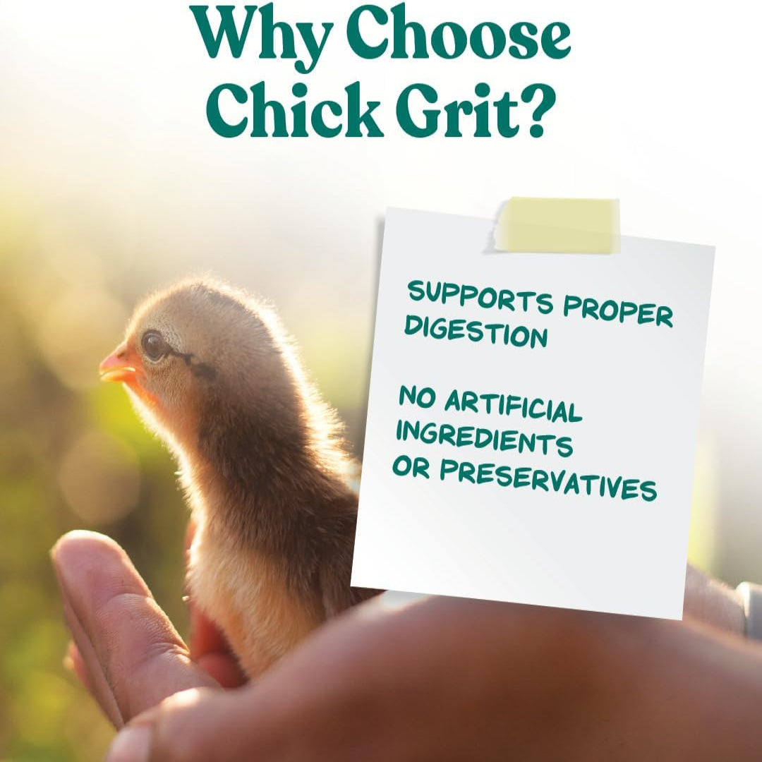 Manna Pro Chick Grit Digestive Supplement for young poultry and bantams, 5 lbs bag, showing the product packaging and contents.