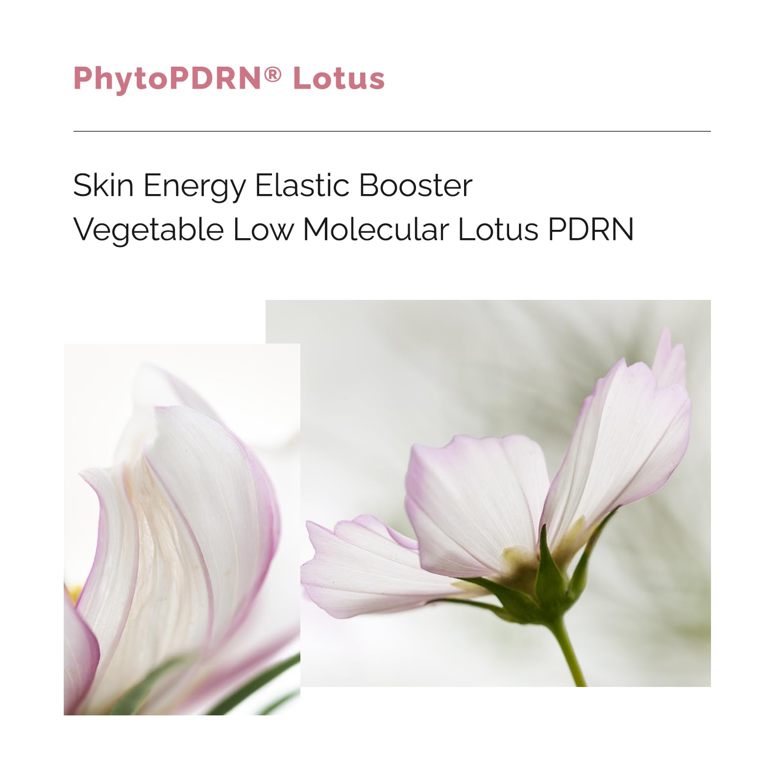 PDRN Wrinkle Care Cream Essence, Anti-Aging Facial Essence with - URIID