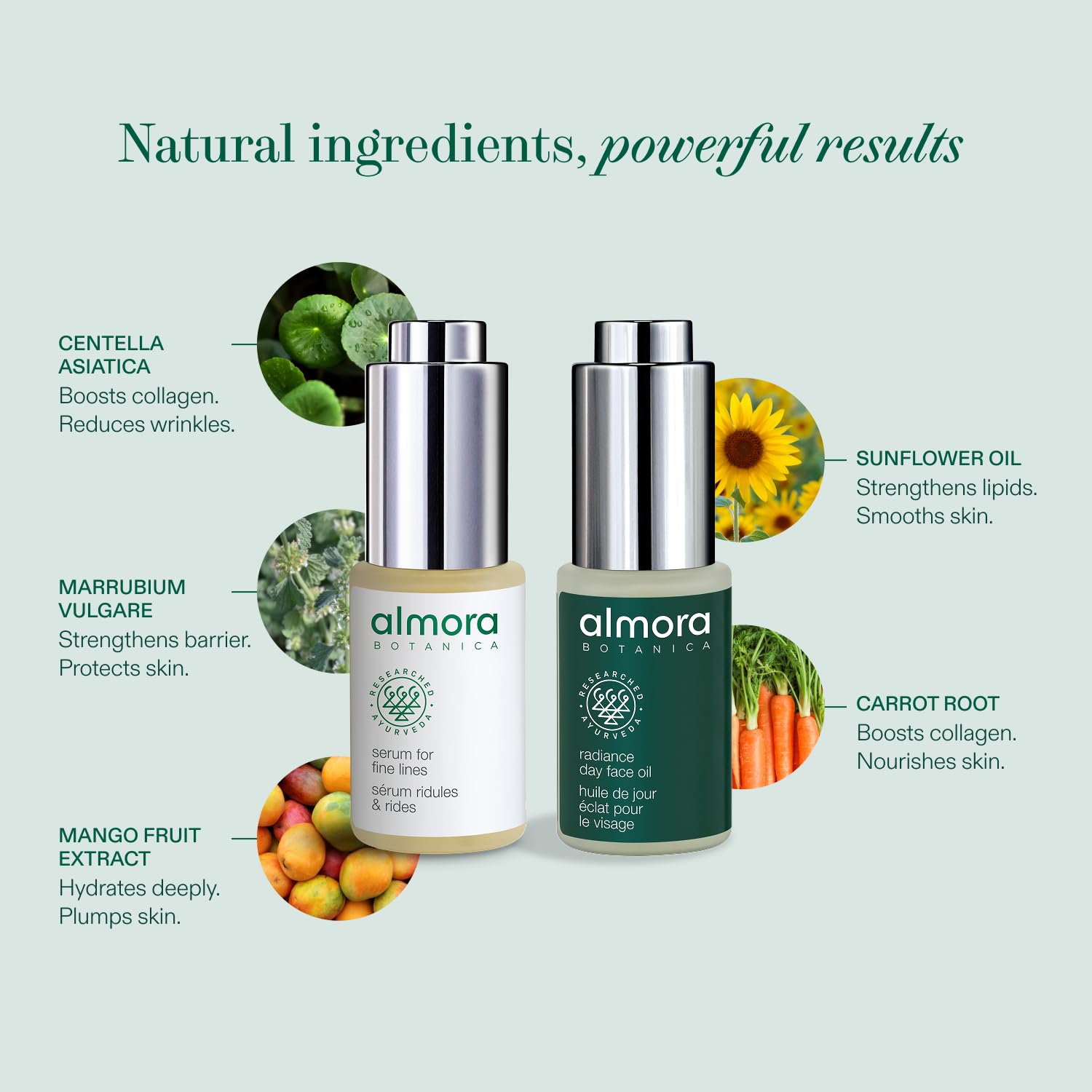 Deluxe Travel Essentials Kit - Almora Botanica