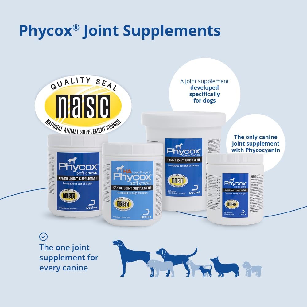 PhyCox small bites joint supplement for dogs in a 120-count container, showing chewable treats for canine joint health.