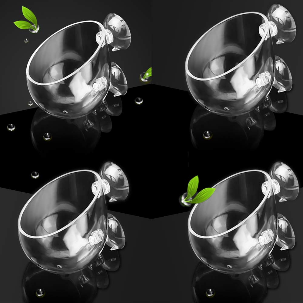capetsma 4X Crystal Glass Aquarium Plant Pot Aquarium - capetsma Official Imagery - 2