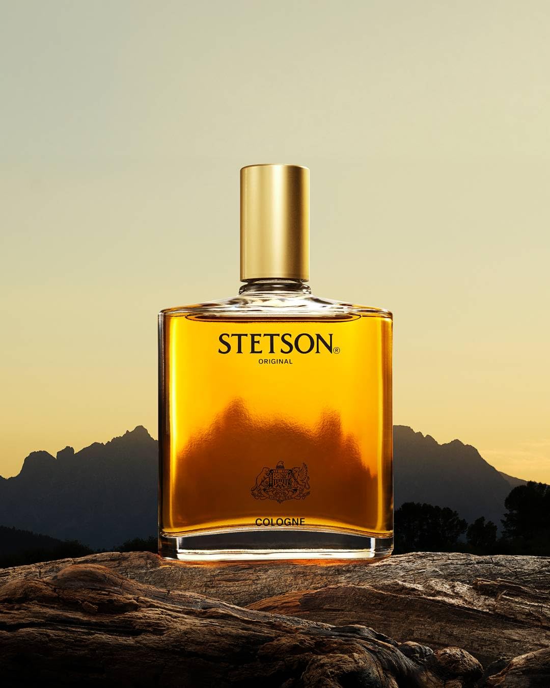 Stetson Original men's cologne bottle with classic, woody, masculine scent, featuring a sleek design and amber-colored liquid.