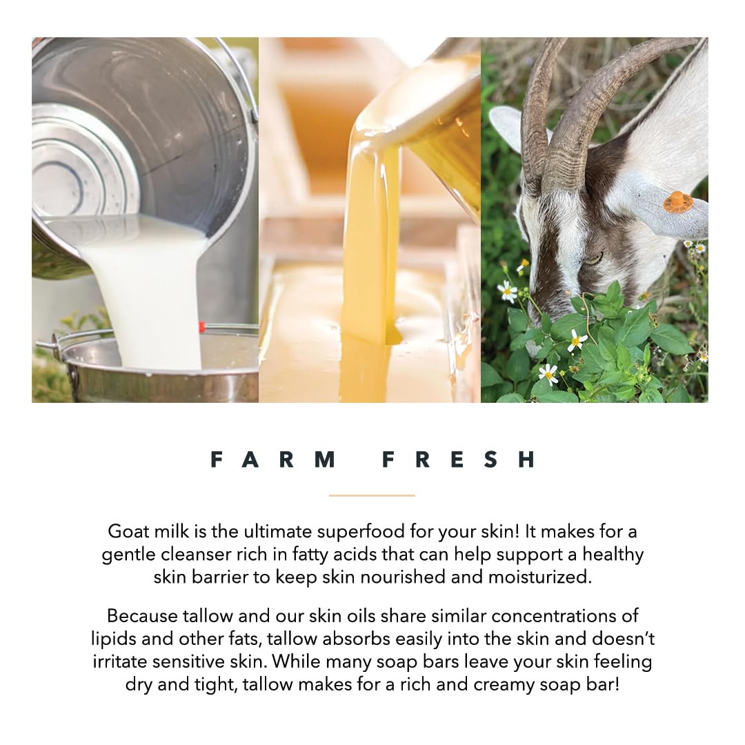 Pretty farm girl Coffee & Cream Beef Tallow Soap & Goat Milk Soap – Natural - Pretty farm girl Official Product View 7