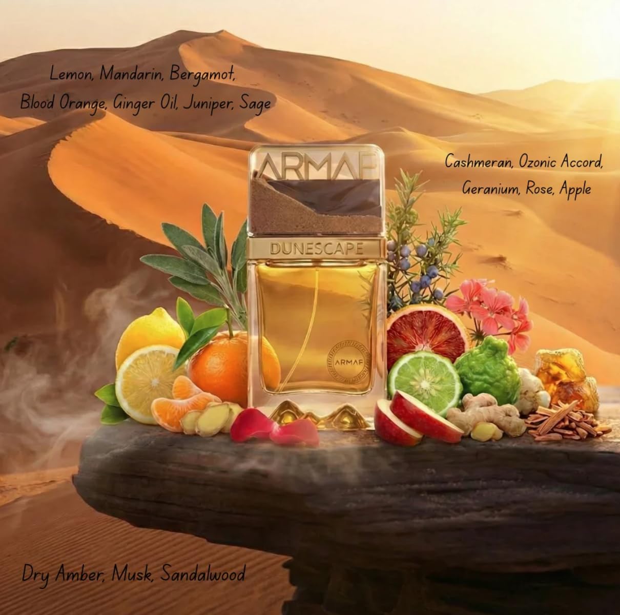 Armaf Dunescape Citrus Fresh Woody Eau de Parfum Spray Long - Armaf Official Imagery - 5