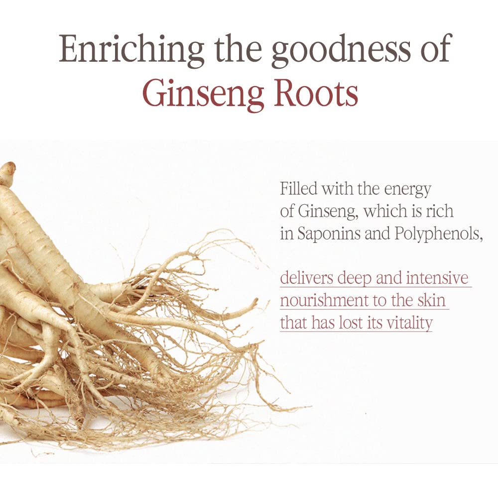 Pyunkang Yul Black Tea Enriched Cream for Anti aging - Pyunkang Yul Official Imagery - 5