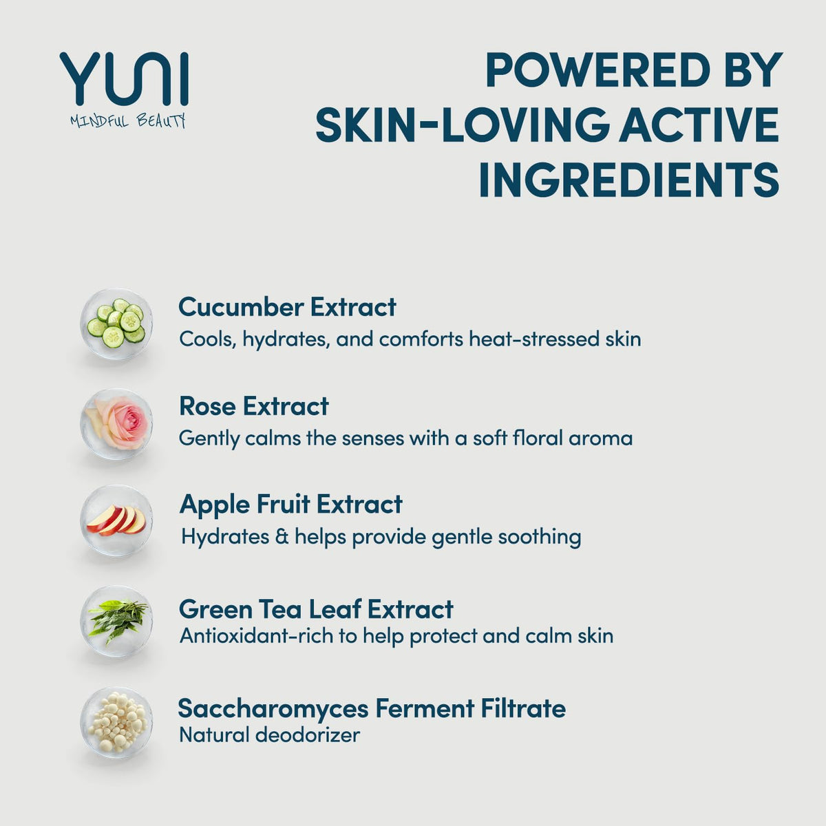 YUNI Beauty Large Body Wipes 12 x 10 Inches - YUNI Beauty Official Imagery - 3