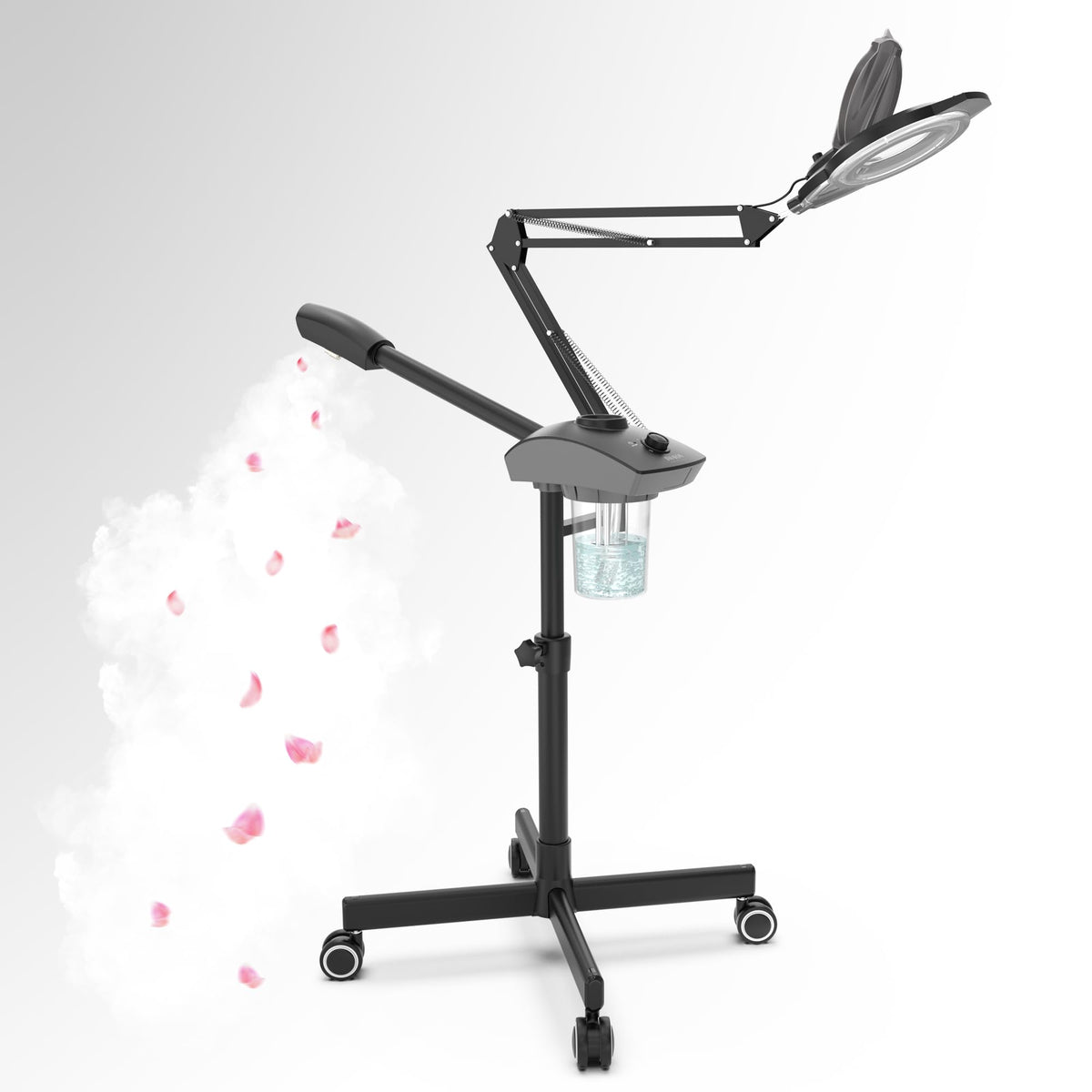 TASALON Professional 2 in 1 Facial Steamer Ozone Face - TASALON Official Imagery - 1
