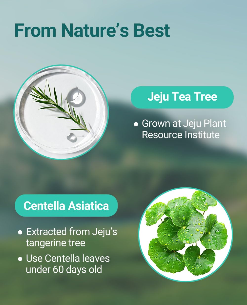BRING GREEN TEA TREE CICA TRIAL KIT - BRING GREEN