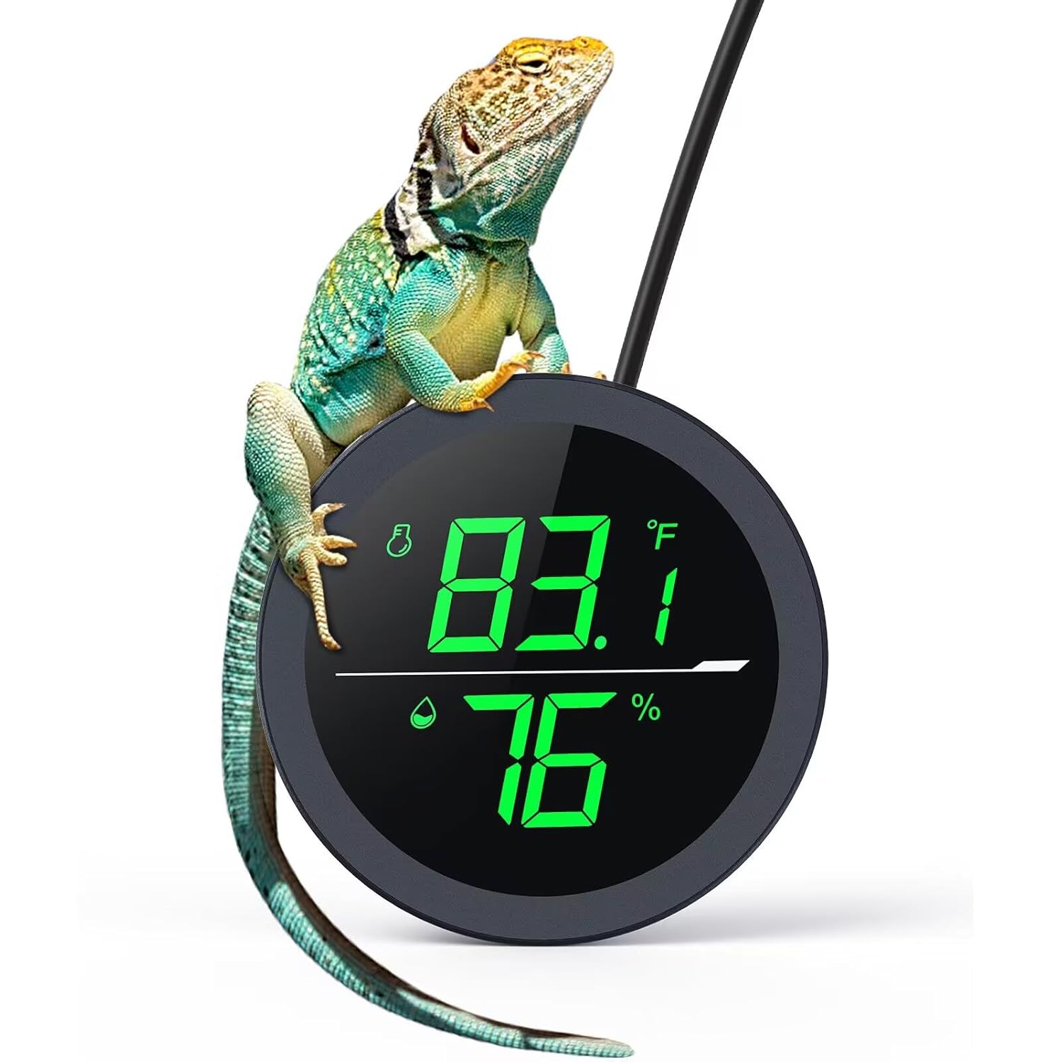 PAIZOO LED digital reptile thermometer and hygrometer showing temperature and humidity readings on a black display screen
