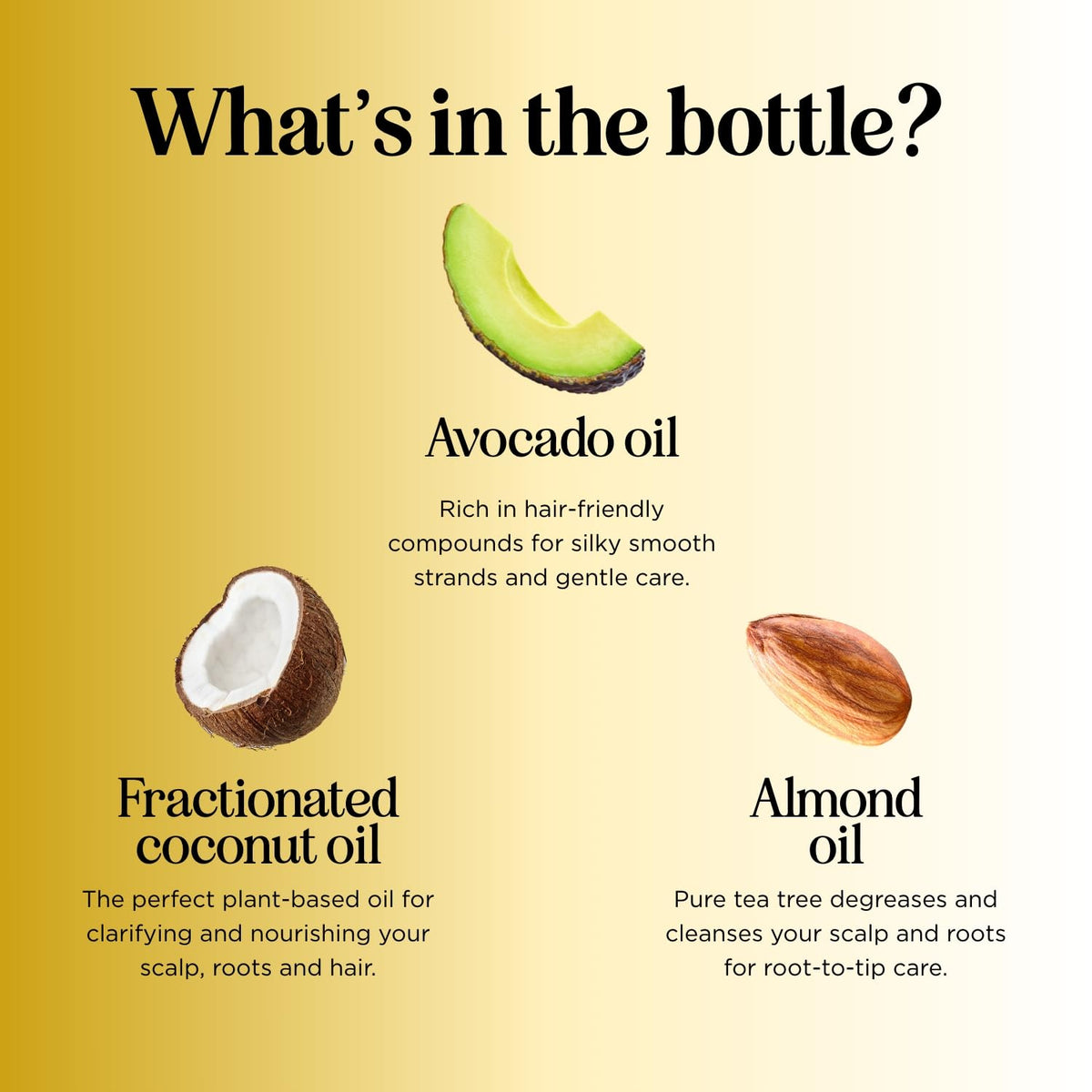 Pure Carrier Oils for Essential Oils - Maple Holistics Official Imagery - 7