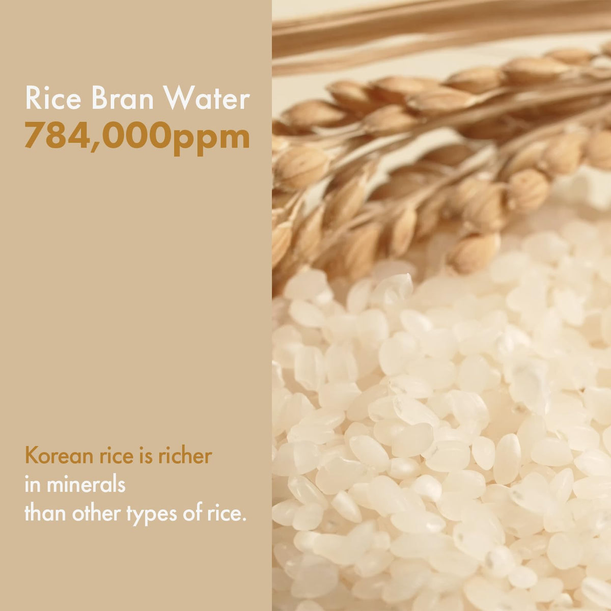 TOSOWOONG Rice Glow Milky Toner for Glass Skin Hydration - TOSOWOONG Official Imagery - 4