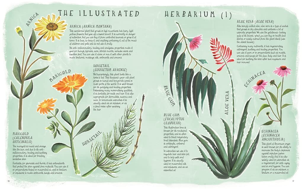 Organic Beauty An Illustrated Guide to Making Your Own - by               
		   Maru Godas     
       			(Author) 
       	             Format: Hardcover Official Imagery - 3