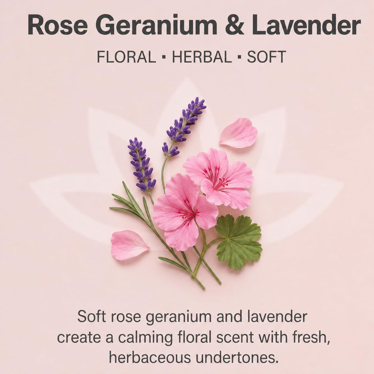 GLIMMER GODDESS Whipped Body Butter For Women Rose Geranium - GLIMMER GODDESS Official Imagery - 3