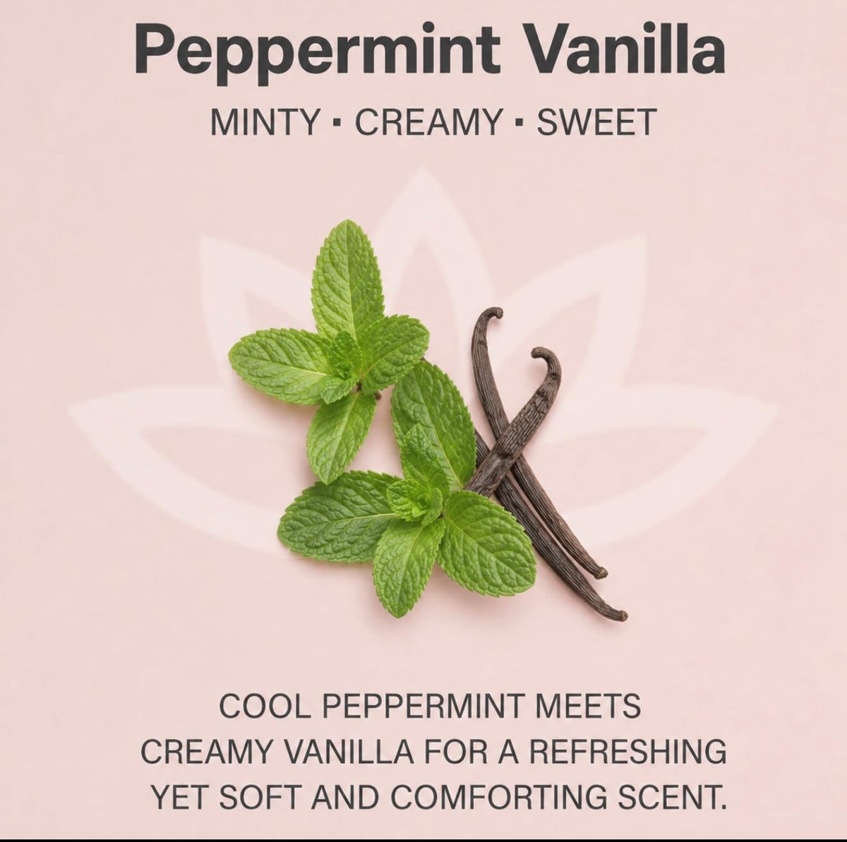 GLIMMER GODDESS Whipped Body Butter For Women Peppermint - GLIMMER GODDESS Official Imagery - 3