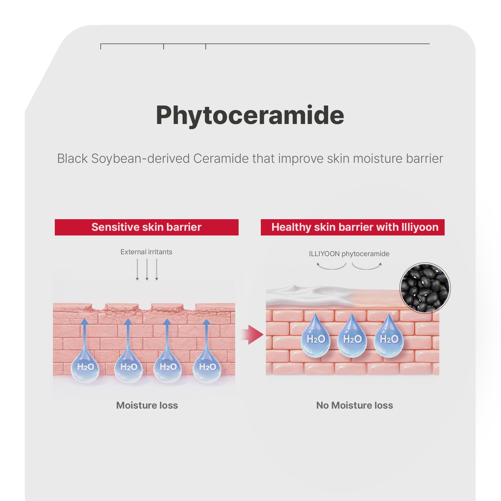 Illiyoon Ceramide Ato Concentrate Cream - Moisturizer for Dry & Sensitive Skin & - Illiyoon Official Product View 7