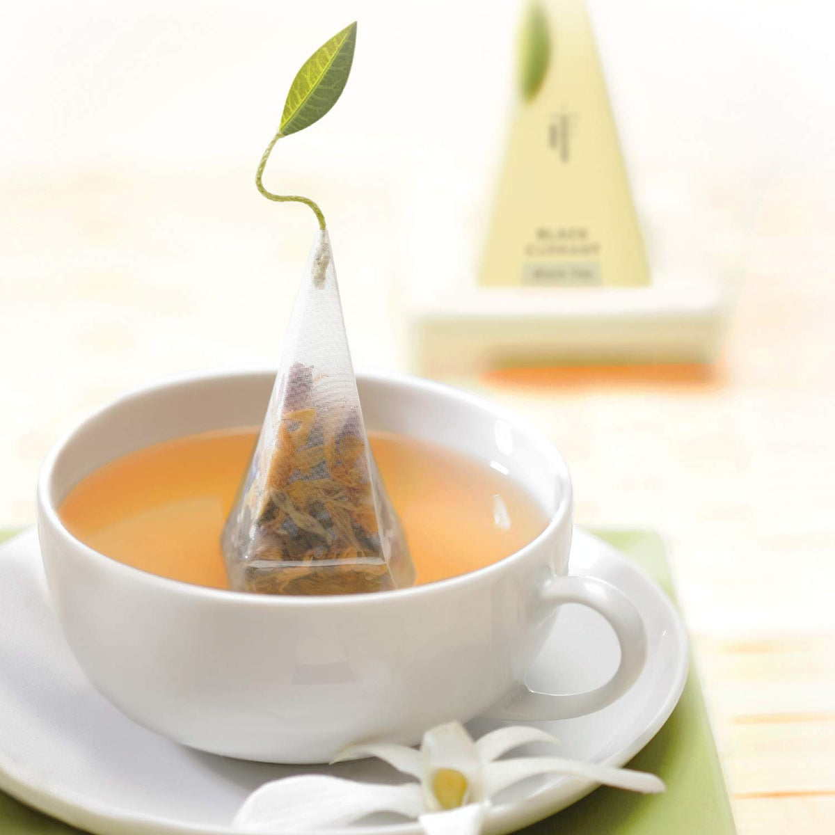 Tea Forte Tea Sampler 10 Pyramid Infuser Bags Premium Tea - Tea Forte Official Imagery - 5