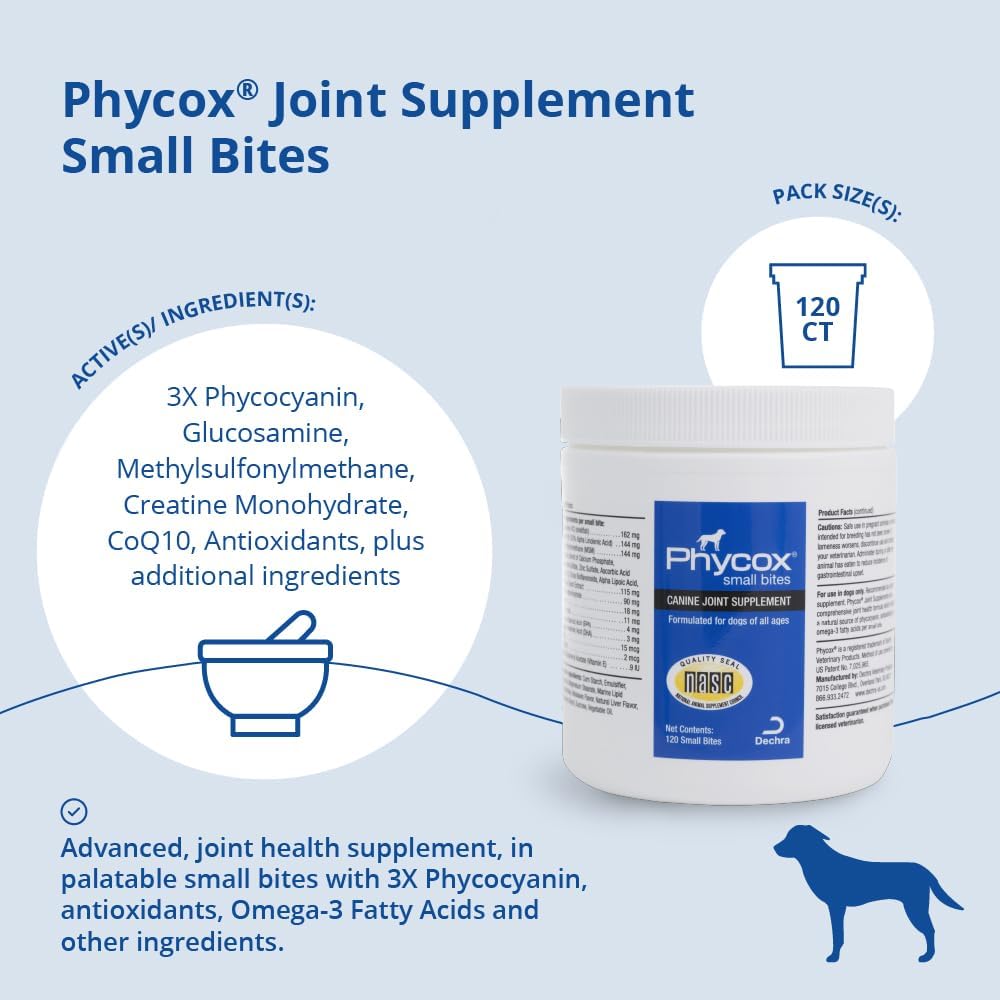 PhyCox small bites joint supplement for dogs in a 120-count bottle, showing soft chew treats for healthy joints.
